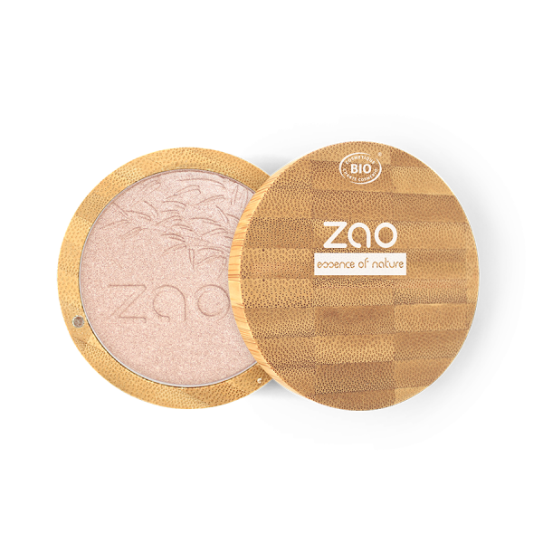 Shine-Up Illuminating Powder 310